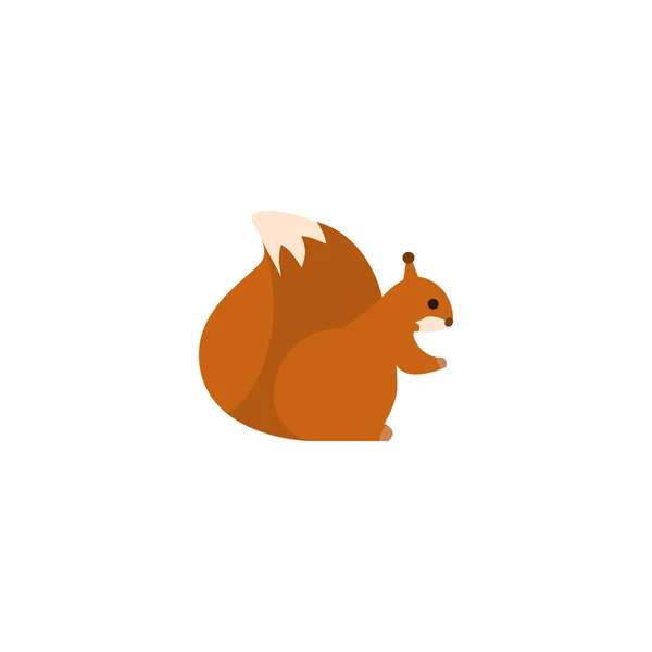 Platte eekhoorn Element. Vectorillustratie van platte Predator geïsoleerd op schone achtergrond. Kan worden gebruikt als Predator, eekhoorn en moer symbolen. — Stockvector