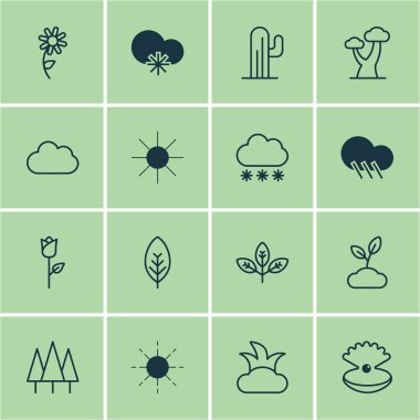 16 uyum simgeler kümesi. Bitki, kaktüs, ayçiçeği ve diğer simgeleri içerir. Güzel tasarım öğeleri.