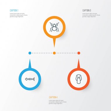 Doğa Icons Set. Deniz ürünleri iskelet, örümcek, ördek ve diğer öğeleri koleksiyonu. Ayrıca örümcek, kaz, örümcek ağı gibi simgeler içerir.