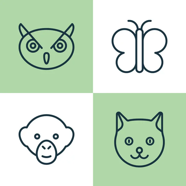 Hayvanat Bahçesi Icons Set. Güve, babun, yavru kedi ve diğer öğeleri koleksiyonu. Ayrıca maymun, şempanze, baykuş gibi simgeler içerir. — Stok Vektör