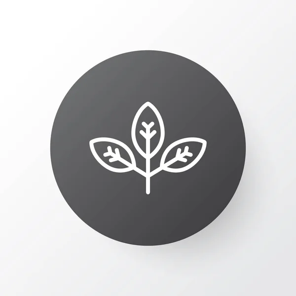 Branch pictogram symbool. Premium kwaliteit Sprout geïsoleerd Element In Trendy stijl. — Stockvector