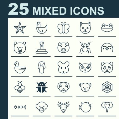 Hayvan Icons Set. Örümcek, boz ayı, keseli hayvanı ve diğer öğeleri koleksiyonu. Ayrıca fare, kurbağa, tavuk gibi simgeler içerir.