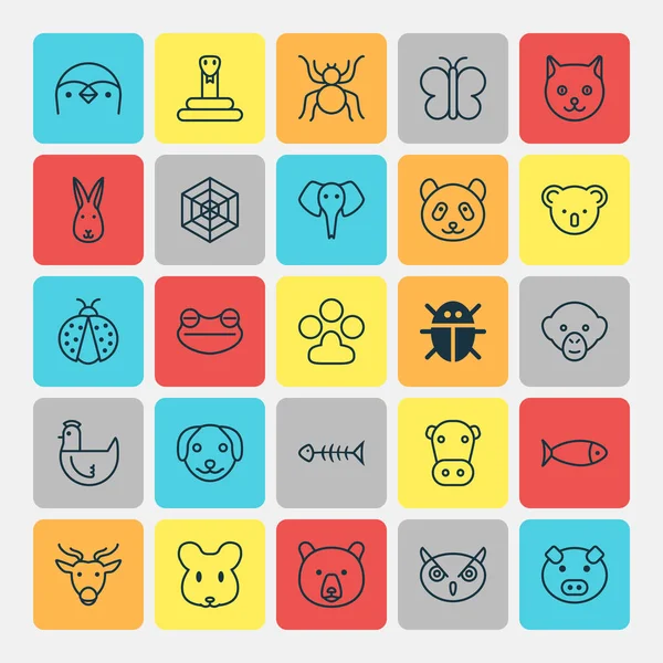 Zoo Icons Set. Coleção de esqueleto de frutos do mar, Grizzly, Mergulhador e outros elementos. Também inclui símbolos como animais, alces, aves . —  Vetores de Stock