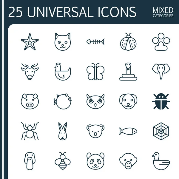 Doğa Icons Set. Örümcek ağı, Bumblebee, pençe baskı ve diğer öğeleri koleksiyonu. Ayrıca tavşan, Star, böcek gibi simgeler içerir.