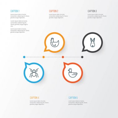 Doğa Icons Set. Örümcek, Bunny, kaz ve diğer öğeleri koleksiyonu. Ayrıca örümcek, tavşan, kümes hayvanları gibi simgeler içerir.