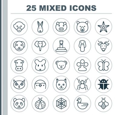 Hayvan Icons Set. Beetle, deniz yıldızı, tavşan ve diğer öğeleri koleksiyonu. Ayrıca örümcek ağı, kelebek, uğur böceği gibi simgeler içerir.