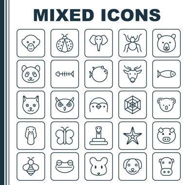 Doğa Icons Set. Örümcek ağı, ayı, yavru kedi ve diğer öğeleri koleksiyonu. Ayrıca sürüngen, yavru kedi, deniz yıldızı gibi simgeler içerir.