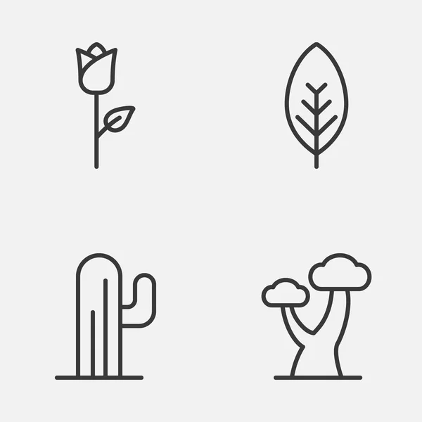 Příroda sada ikon. Kolekce kaktusů, dub, květ lásky a dalších prvků. Zahrnuje také symboly jako strom, dub, list. — Stockový vektor