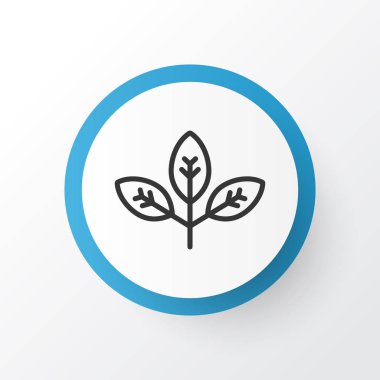 Şube simgesi simgesi. Premium Kalite izole Filiz öğe Trendy tarzı.