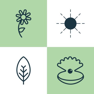 Uyum Icons Set. Deniz kabuğu, ağaç yaprağı, güneş ve diğer öğeleri koleksiyonu. Ayrıca bitki örtüsü, ağaç, deniz kabuğu gibi simgeler içerir.