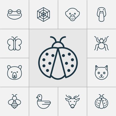 Doğa Icons Set. Örümcek ağı, babun, kaz ve diğer öğeleri koleksiyonu. Ayrıca Panda, tatlım, kedi gibi simgeler içerir.