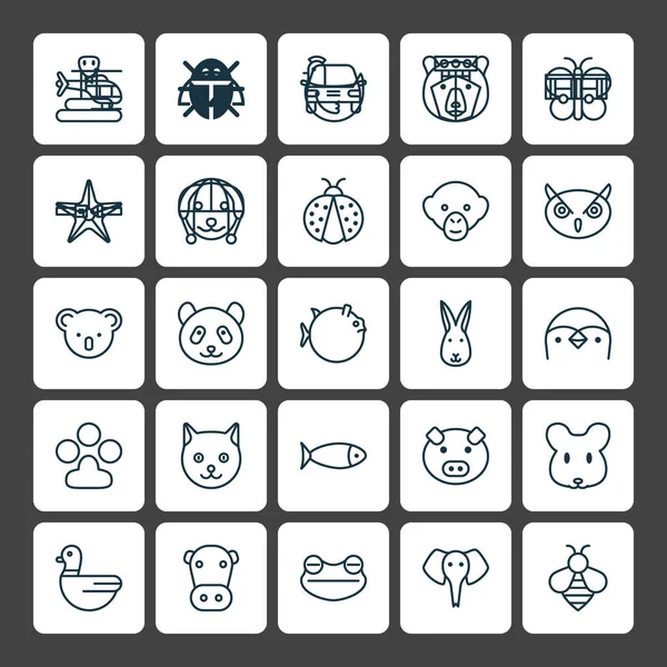 Zoo Icons Set. Collection Of Moth, Baboon, Kitten And Other Elements. Also Includes Symbols Such As Trunked, Hare, Puppy. — Stock Vector