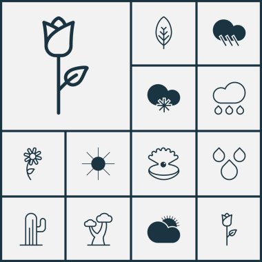 Dünya Icons Set. Meşe, ağaç yaprağı, yağmur ve diğer öğeleri koleksiyonu. Ayrıca yağmur, deniz kabuğu, inci gibi simgeler içerir.