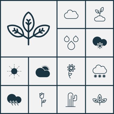 Manzara simgeler kümesi. Yağmur damlası, bitki, soğuk iklim ve diğer öğeleri koleksiyonu. Ayrıca ayçiçeği, hava durumu, ağaç gibi simgeler içerir.
