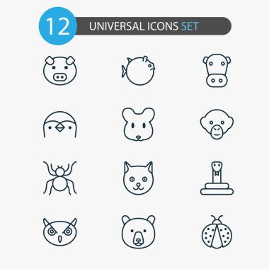 Doğa Icons Set. Boz ayı, sıçan, Kine ve diğer öğeleri koleksiyonu. Butterflyfish, ayı, kedi gibi semboller de içerir.
