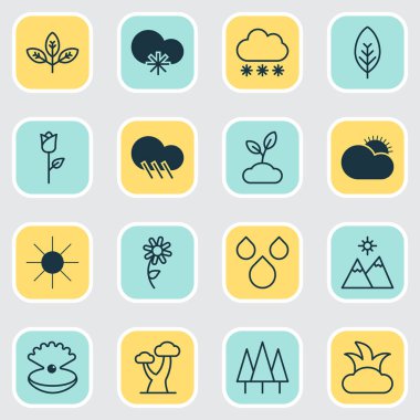 Doğa Icons Set. Bush, yağmur damlası, kar fırtınası ve diğer öğeleri koleksiyonu. Ayrıca sağnak, bahçıvanlık, güneş ışığı gibi simgeler içerir.