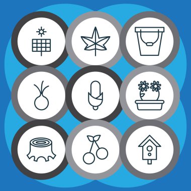 Bahçe Icons Set. Akçaağaç, Mısır, ağaç saplama ve diğer öğeleri koleksiyonu. Aynı zamanda sebze, Mısır, kuş yuvası gibi simgeler içerir.