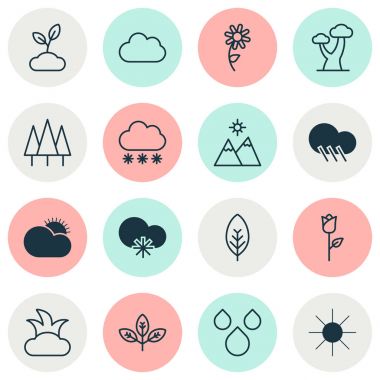 Uyum Icons Set. Orman, peyzaj, bitki öğeleri koleksiyonu. Ayrıca güneş gibi simgeler, Daisy, su içerir.