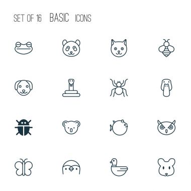 Zooloji Icons Set. Butterflyfish, kaz, örümcek ve diğer öğeleri koleksiyonu. Ayrıca kedi, ayı, örümcek ağı gibi simgeler içerir.