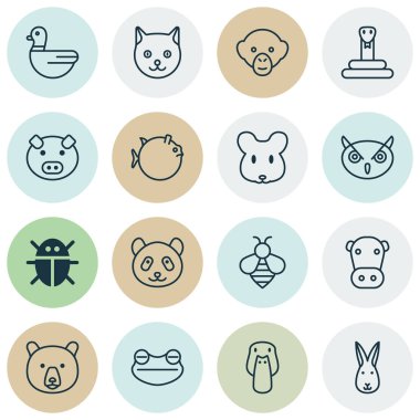 Hayvanat Bahçesi simgeler kurbağa, Bumblebee, kaz ve diğer ördek öğeleri ile ayarlayın. İzole vektör çizim Hayvanat Bahçesi simgeler.