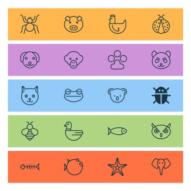 Doğa Icons set ile gece kümes hayvanı, uğur böceği, keseli hayvanı ve diğer pençe baskı öğeleri ile. İzole vektör çizim doğa simgeler.