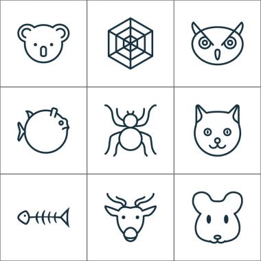 Doğa simgeler sıçan, deniz ürünleri iskelet, örümcek ve keseli diğer öğeleri ile ayarlayın. İzole vektör çizim doğa simgeler.