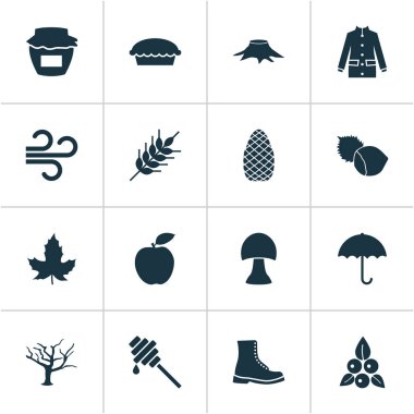 Mevsimlik simgeler kereste, fındık, elma ve diğer cedar elemanları ile ayarlayın. İzole vektör çizim mevsimlik simgeler.