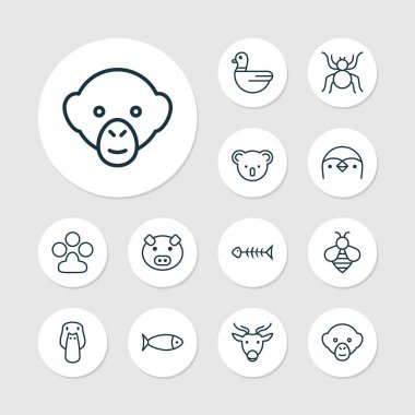 Doğa simgeler pençe baskı, ördek, keseli hayvanı ve diğer yaban-arısı öğeleri ile ayarlayın. İzole vektör çizim doğa simgeler.