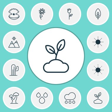 Doğa simgeleri ile aşk çiçek, meşe, kaktüs ve diğer su damla öğeleri ayarlayın. İzole vektör çizim doğa simgeler.