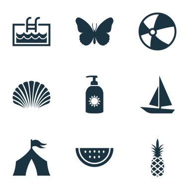 Yaz simgeler ananas ile kamp, kabuklu ve diğer gemi öğelerini ayarlayın. İzole vektör çizim yaz simgeler.