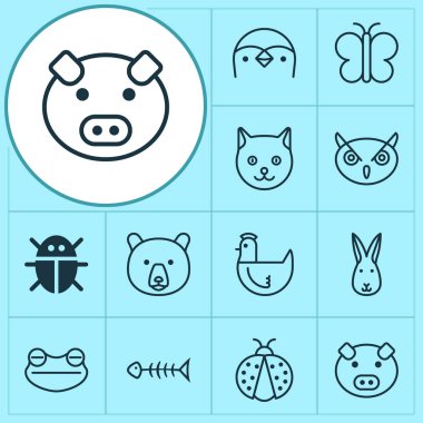 Hayvan Icons set ile tavşan, güve, yavru kedi ve diğer tavuk öğeleri ile. İzole vektör çizim hayvan simgeler.