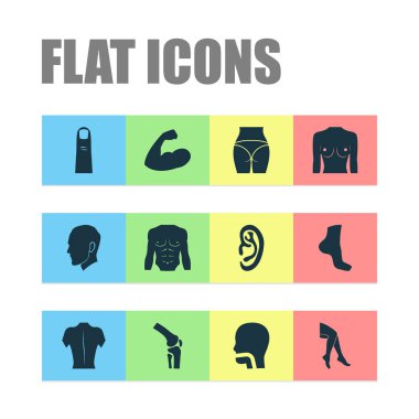 Fiziksel simgeler bacak, kas, göğüs ve diğer nefes öğeleri ile ayarlayın. İzole vektör çizim fiziksel simgeler.