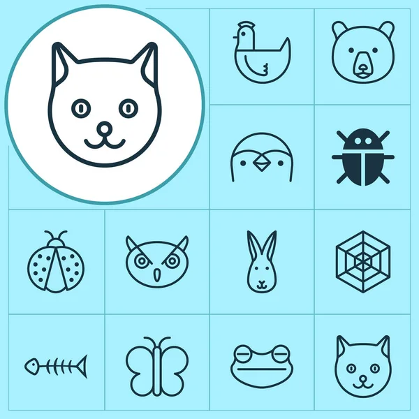 Hayvan simgeler gece fowl, kır saçlı, kurbağa ve diğer güve öğeleri ayarlayın. İzole vektör çizim hayvan simgeler.