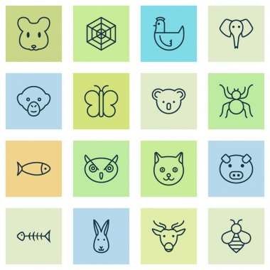 Hayvanat Bahçesi simgeler arı, kedi, domuz ve diğer yaban-arısı öğeleri ile ayarlayın. İzole vektör çizim Hayvanat Bahçesi simgeler.