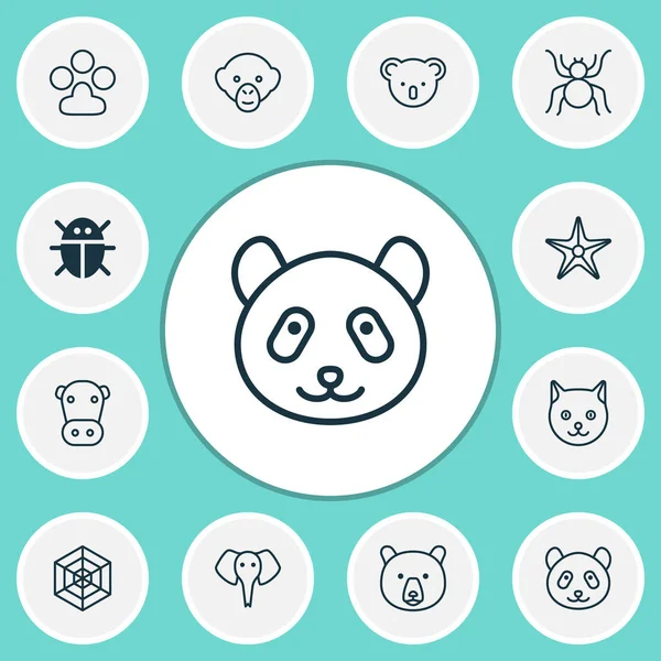Zoosymbole mit Panda, Spinnentier, Affenbär-Elementen. isolierte Vektorabbildung Zoo-Symbole. — Stockvektor