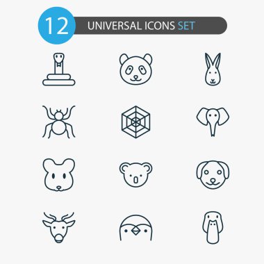 Hayvan Icons set ile tavşan, yaban ördeği, Penguen ve diğer örümcek ağı öğeleri ile. İzole vektör çizim hayvan simgeler.