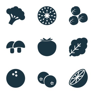 Meyve simgeler meşe palamudu, coco, ıspanak ve diğer Hindistan cevizi öğeleri ile ayarlayın. İzole vektör çizim meyve simgeler.