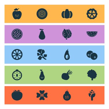 Kiwifruit, enginar, kakao çekirdeği ve diğer kivi unsurlarıyla birlikte sebze ikonları. İzole vektör illüstrasyon sebze simgeleri.