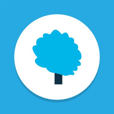 Ağaç simgesi renkli sembol. Premium kalite izole ekoloji eleman trendy tarzı.