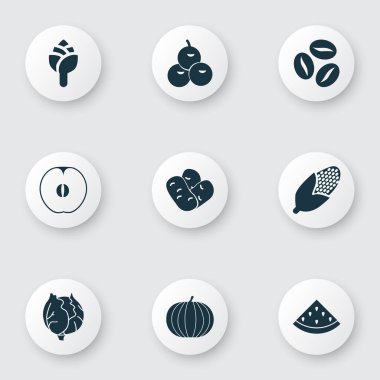 Zeytin, karnabahar, balkabağı ve diğer karpuz elementleriyle hazırlanmış meyve ikonları. İzole vektör illüstrasyon meyve simgeleri.