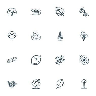 Kahve çekirdeği, orkide, meşe yaprağı ve diğer köknar konisi elementlerle birlikte doğa ikonları tarzı. İzole vektör illüstrasyon doğa simgeleri.