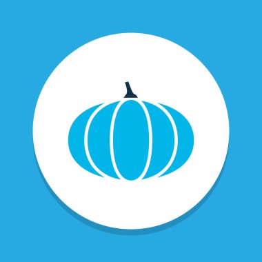 Kabak simgesi renkli sembol. Premium kalite izole kabak öğe trendy tarzı.