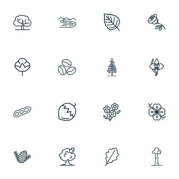 Ecology icons line style set with coffee bean, orchid, oak leaf and other fir cone elements. Isolated illustration ecology icons. — Stock Photo, Image