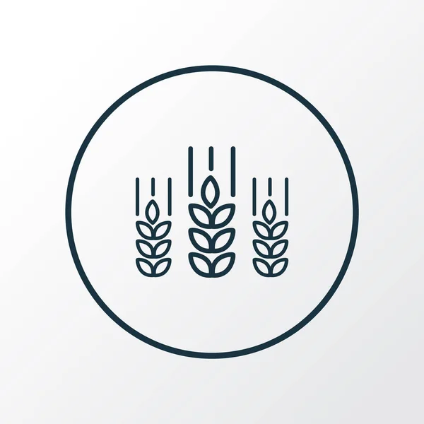 Символ иконки пшеницы. Отдельные зерновые элементы высшего качества в модном стиле . — стоковое фото