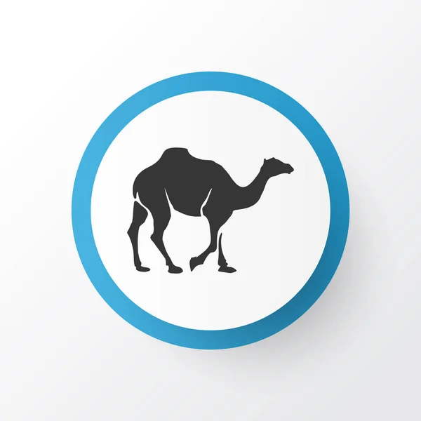 Kamel ikon symbol. Premium kvalitet isolerade dromedar element i trendig stil. — Stockfoto