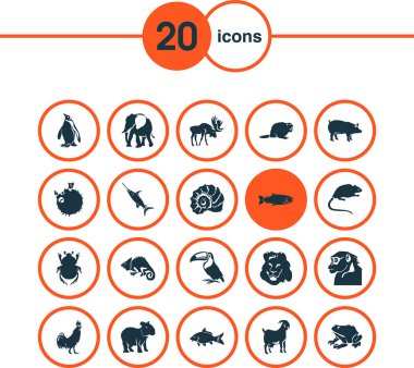 Hayvanat bahçesi simgeleri, kurbağa, kunduz, geyik ve diğer kutup elementleri. İzole vektör illüstrasyon hayvanat bahçesi simgeleri.