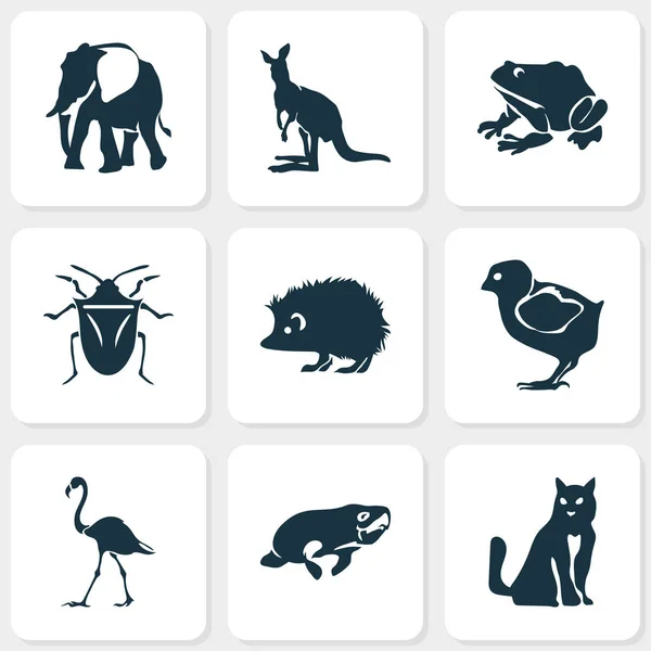 Icônes de la faune ensemble avec Seacow, chat, flamant rose et autres éléments de chaton. Illustration vectorielle isolée icônes de la faune . — Image vectorielle