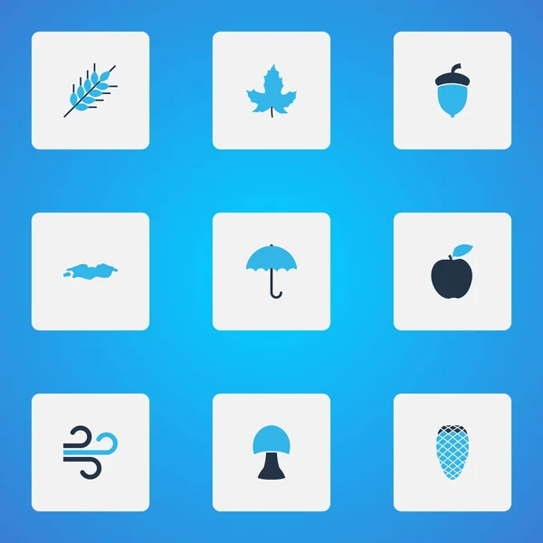 Seasonal icons colored set with apple, puddle, pine cone and other cedar elements. Isolated illustration seasonal icons. — Stock Photo, Image