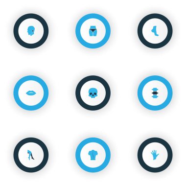 Vücut simgeleri, popo, kafa, avuç içi ve diğer bacak elementleriyle renklendirilmiş. İzole edilmiş illüstrasyon gövde simgeleri.