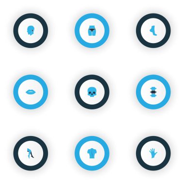 Kalça, kafa, avuç içi ve diğer bacak elementleriyle renklendirilmiş fizik simgeleri. İzole vektör illüstrasyon fiziği simgeleri.